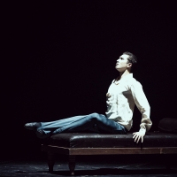 Ballet by B. Eifman to the music of P.I. Tchaikovsky "Anna Karenina"