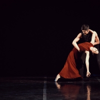 Ballet by B. Eifman to the music of P.I. Tchaikovsky "Anna Karenina"