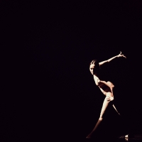 Ballet by B. Eifman to the music of P.I. Tchaikovsky "Anna Karenina"